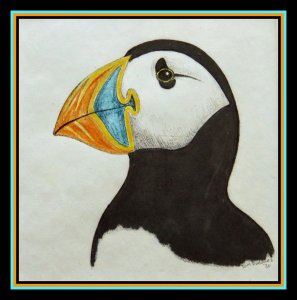 Atlantic Puffin, 4x4, mixed media, 1980