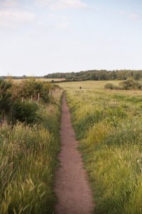 View 1 (Footpath alongside Housing Estate)