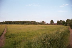 View 3 (Kestrel Field)