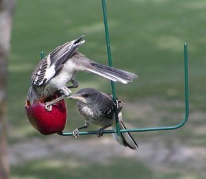 Hurry up I'm hungry, too!