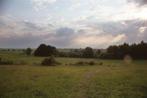 View 5 (Looking back to Pond)