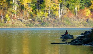 On the Lake