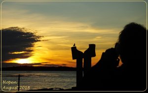 Ann and a gull