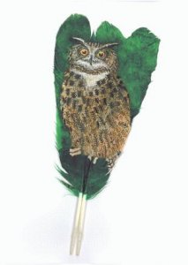 Eurasion Eagle owl