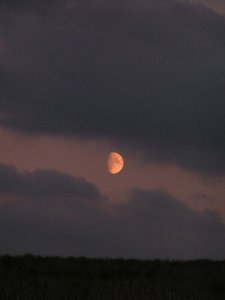 Red Moon over Darwen