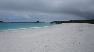 The Beach at Gardner Bay, Isla Espanola