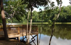 Landis Lake at Lake Corriher Wilderness Area