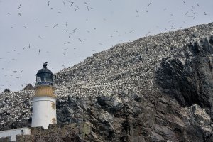 Bass Rock