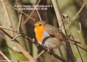 Happy Christmas and good birding in 2021