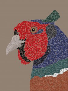 Pheasant doodle