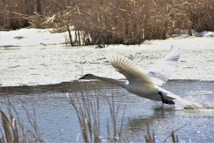 Gaining take off speed