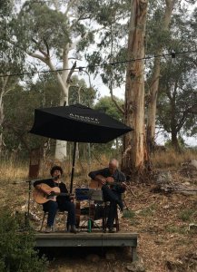 Music among the gum trees