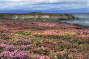 Cape frehel