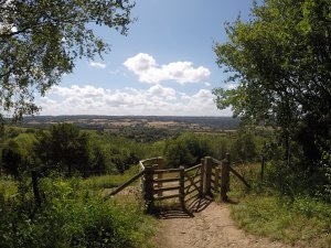 View from Kemsing Down