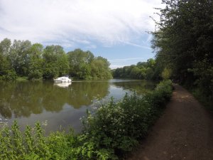 River Thames just passed Reading.