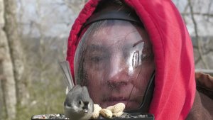 New way of bird feeding