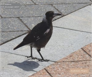 Braving the heat