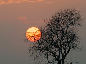 Autumn Sun in Jeddah