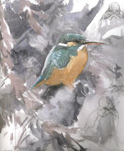 Kingfisher