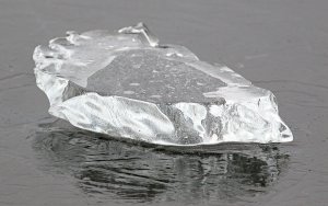 Penguin sliding on ice