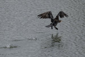 We apologise for the bumpy take-off