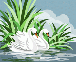 Two White Swans