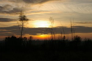 West of Foxley Wood