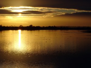 Abberton sunset