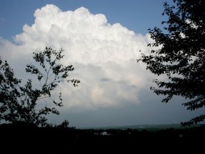 Storm over local patch