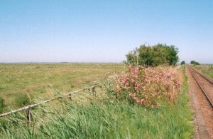 Open countryside