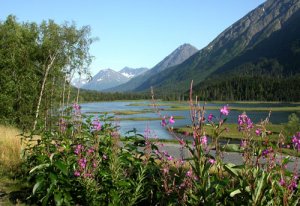 Summer in Alaska