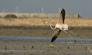 Landing approach