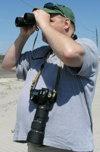 Cow-headed Jaybird