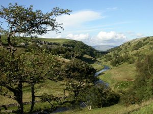 Smardale Gill National Nature Reserve