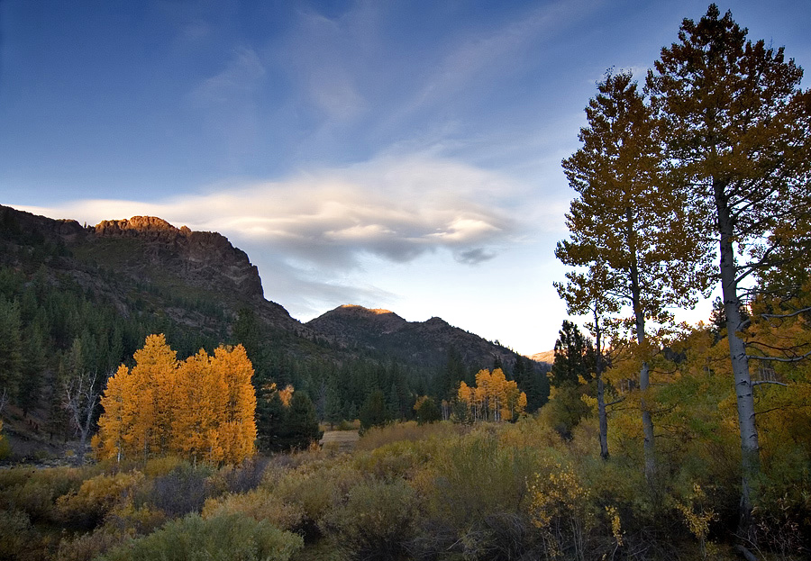 A Scene From Hwy 4