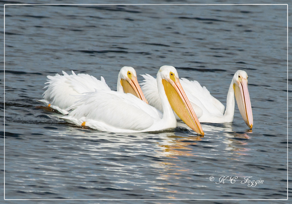 A trio of