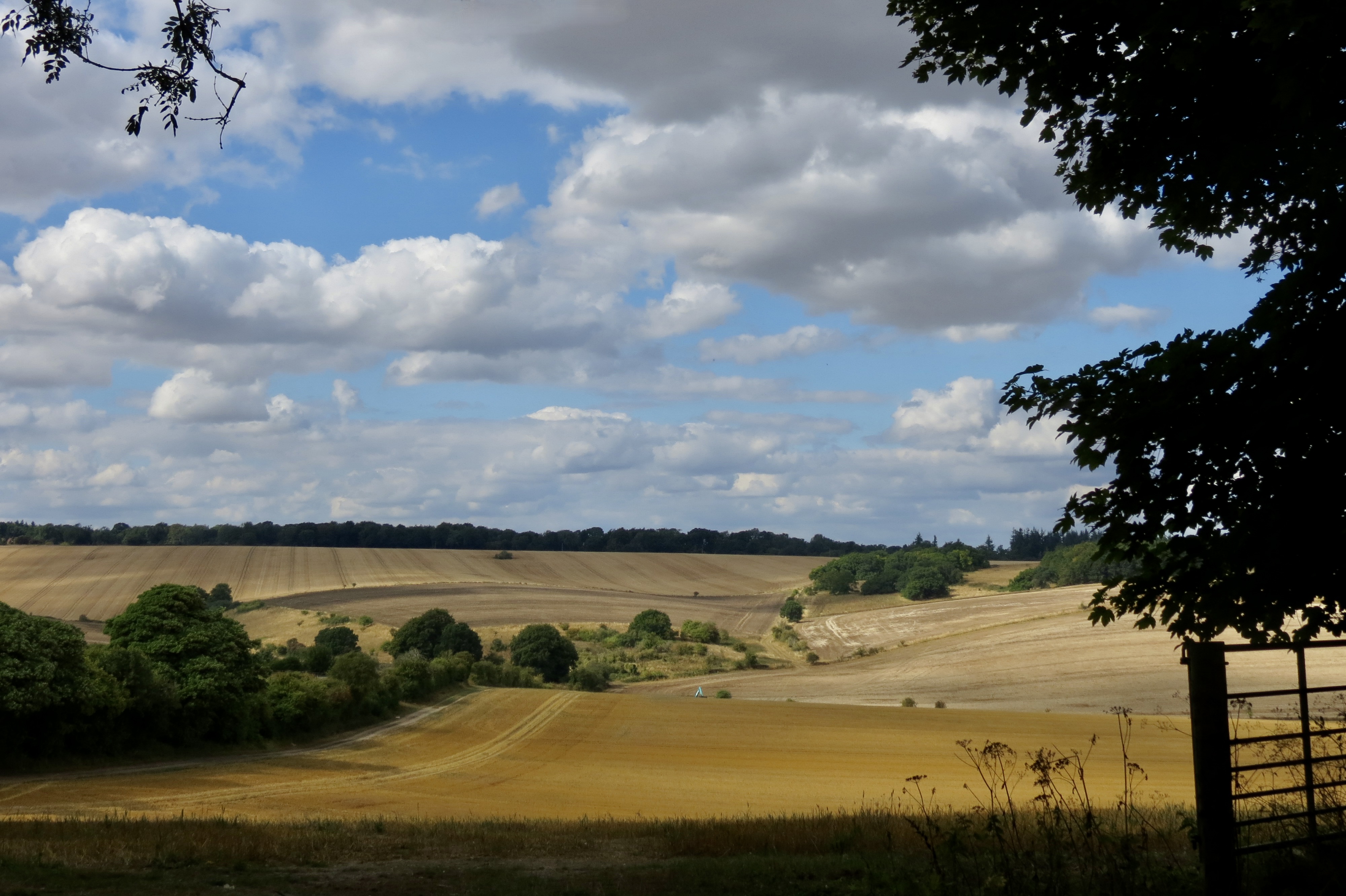 Across the fields