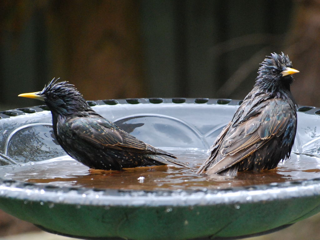 Bath time