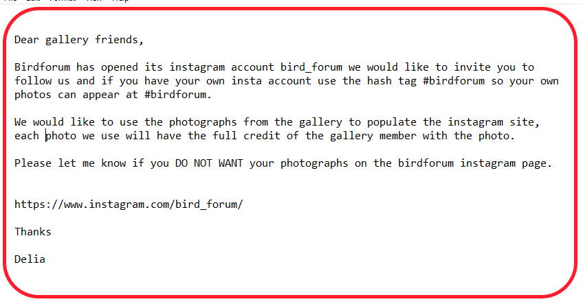 Birdforum is now on Instagram