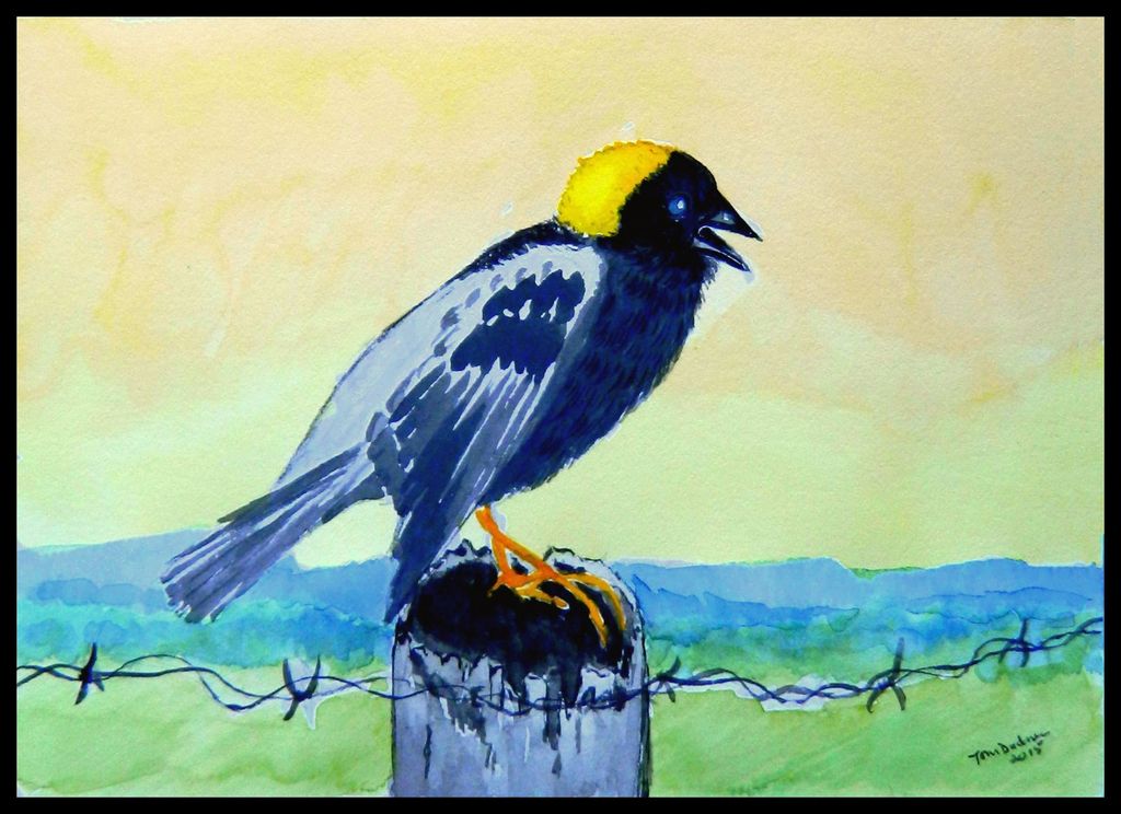 Bobolink, 6x8.5, watercolor, nov 23, 2015