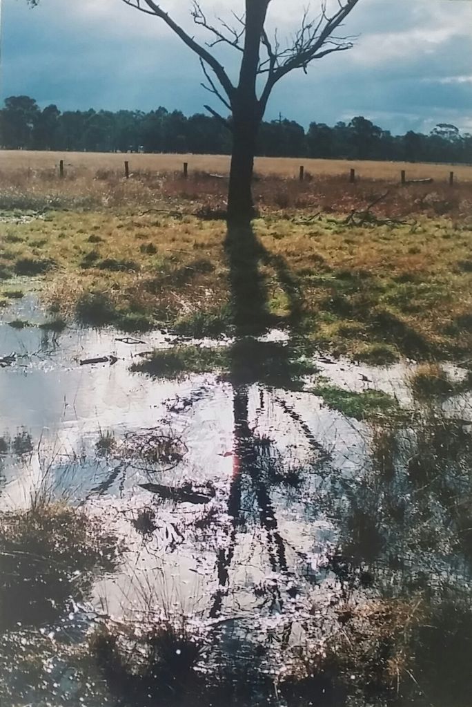 Ephemeral Wetland