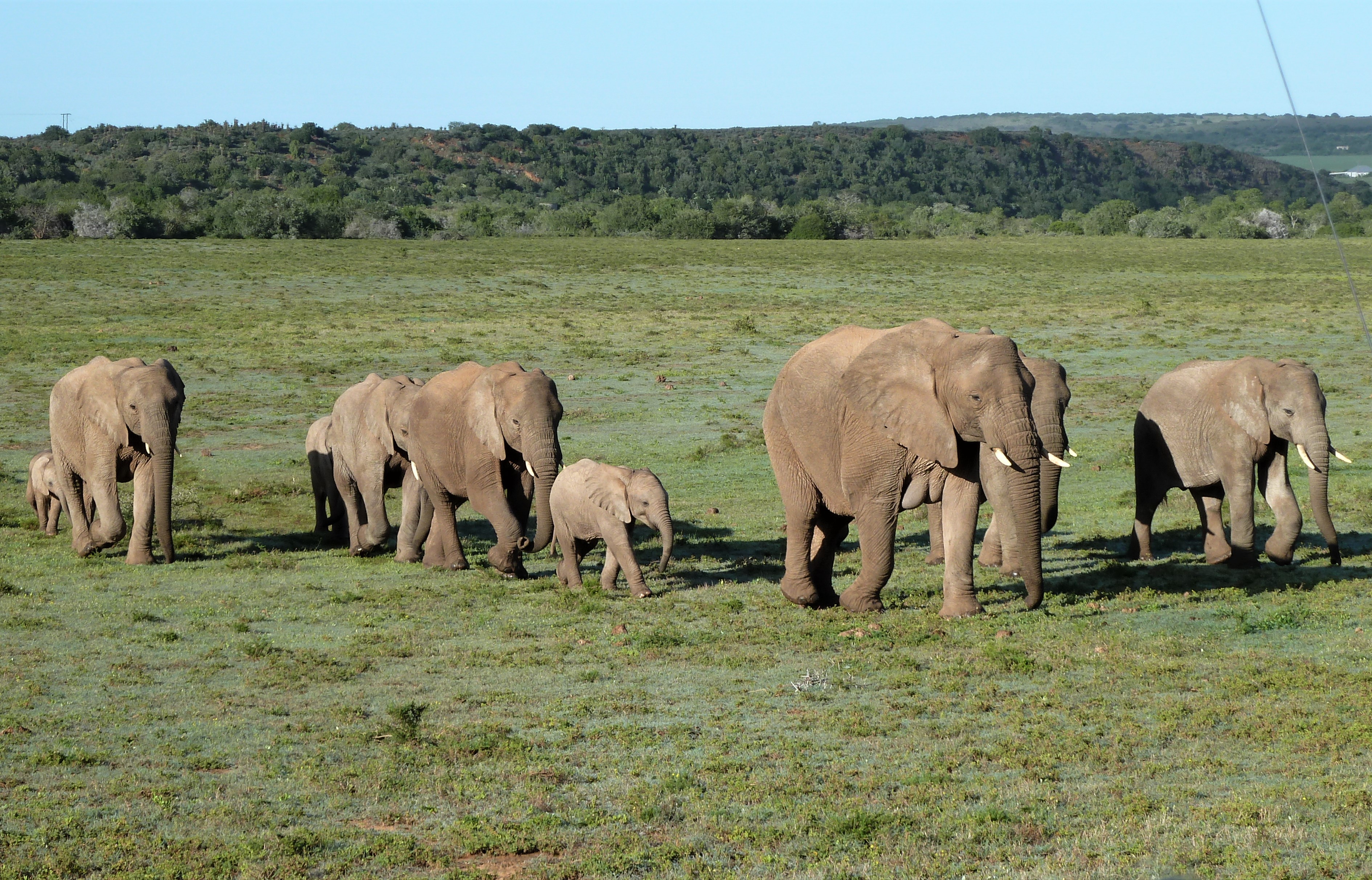 Family day out