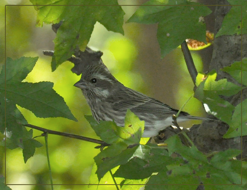 Female Today