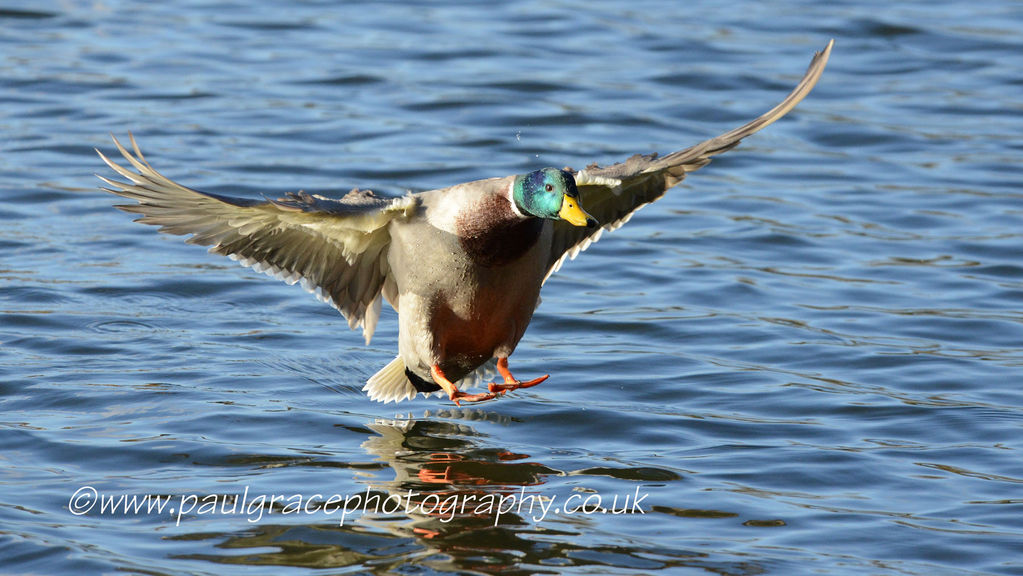 Final approach