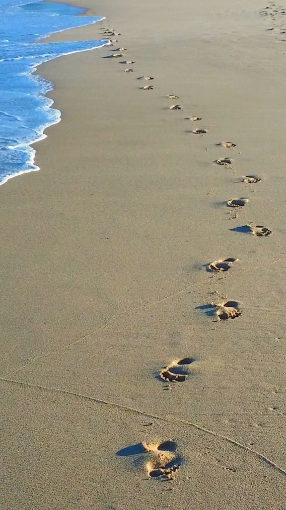 Footprints ....