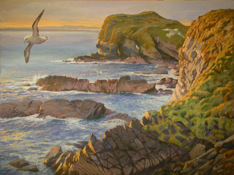 Harrabrough Head with Fulmar painting