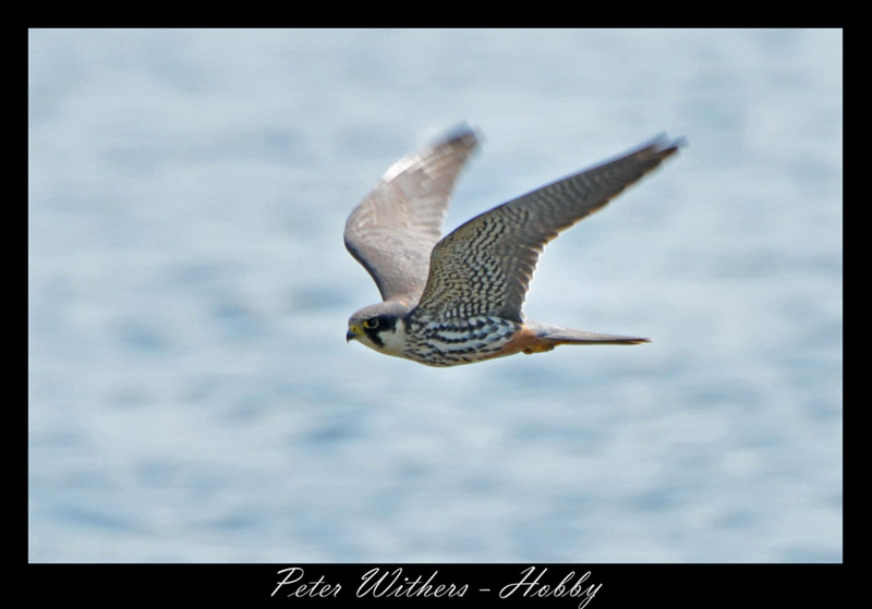 Hobby Flyby