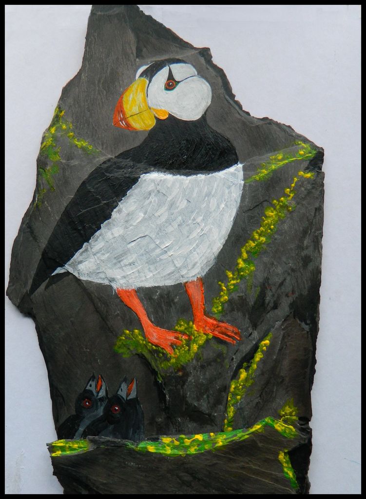Horned Puffins, 10x17, acrylic on slate, feb 8, 2018.