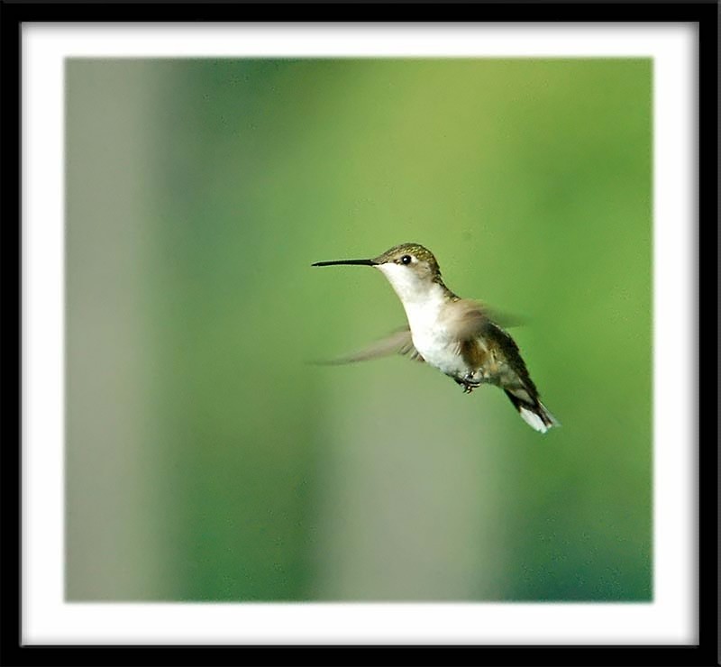 Hovering around