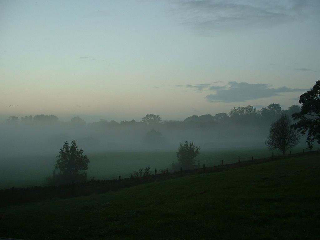 Misty Masham